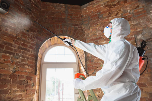 Best Mold Remediation for Healthcare Facilities  in USA